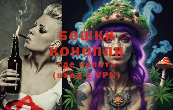 гашик Михайлов