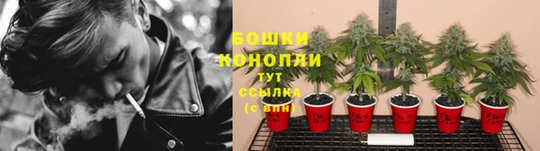 сатива Наволоки
