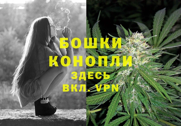 гашик Михайлов