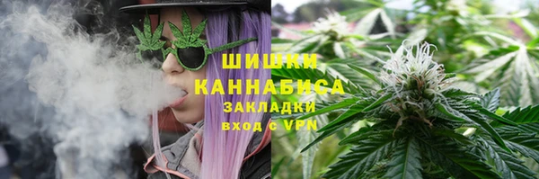 амф Надым