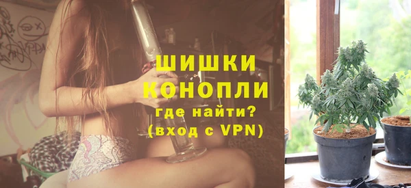 гашик Михайлов